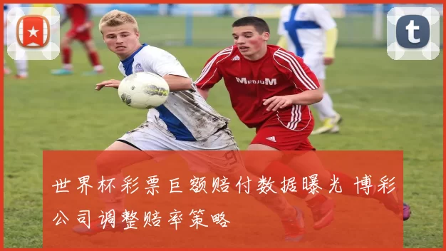 世界杯彩票巨额赔付数据曝光 博彩公司调整赔率策略