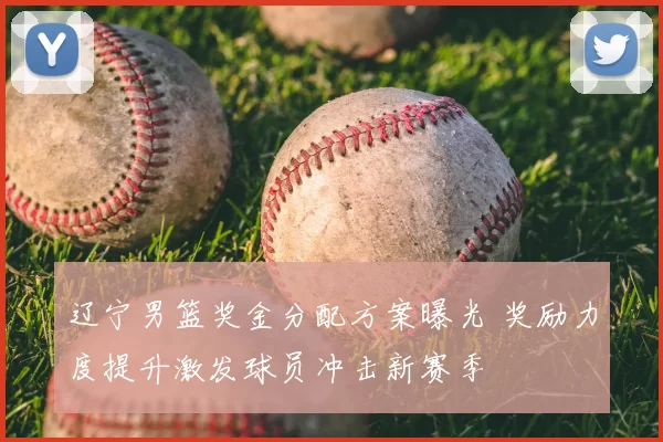 辽宁男篮奖金分配方案曝光 奖励力度提升激发球员冲击新赛季