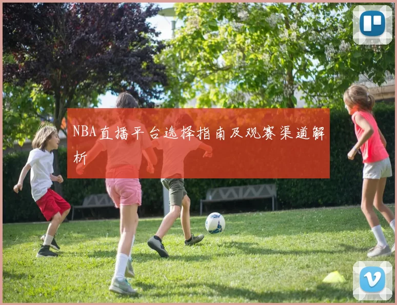 NBA直播平台选择指南及观赛渠道解析